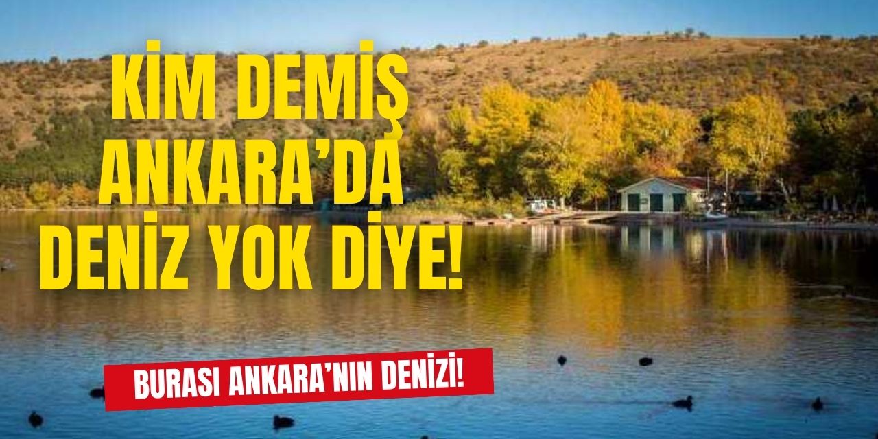 Burayı görenler resmen Ankara'nın denizi diyor! Güzelliği ile öyle büyüleyici ki Ankara'nın göz bebeği