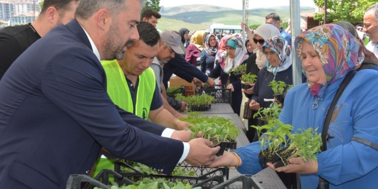 Ankara Pursaklar'da 100 Bin Meyve Fidesi Dağıtımı Gerçekleşti!