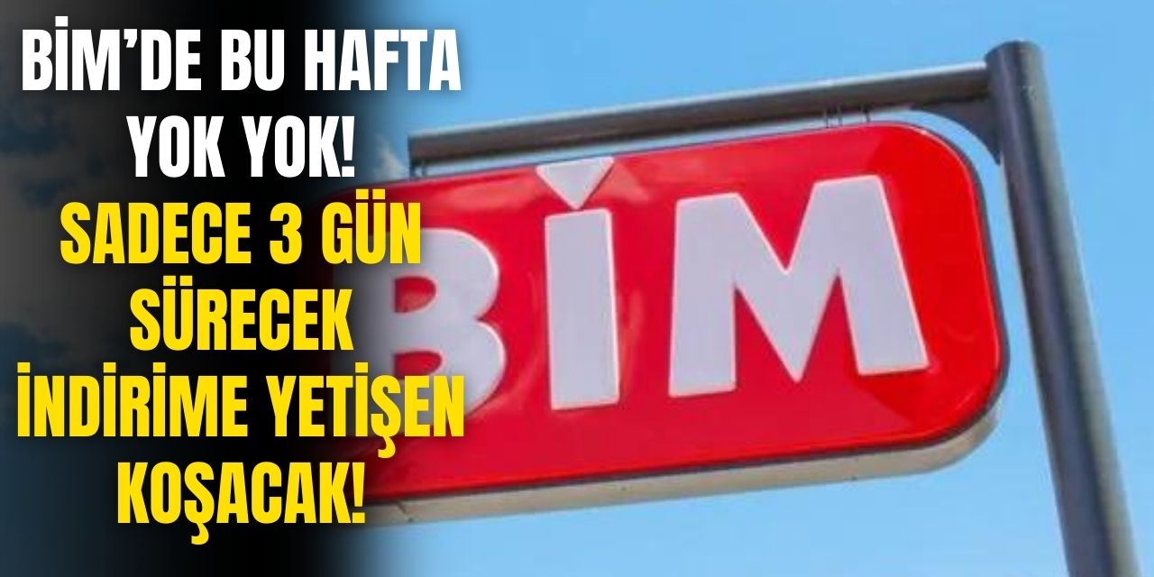 BİM marketlerde 3 gün sürecek DEV indirim! Kamp malzemeleri çok ucuza raflarda olacak