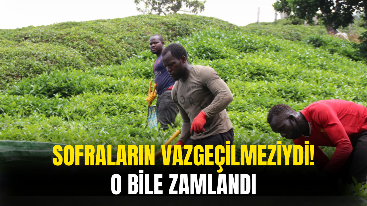Sofraların Vazgeçilmeziydi Artık O Bile Pahalandı
