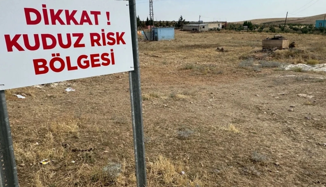 O Bölgede Kuduz Salgını Başladı! Bölgede Karatina Başladı