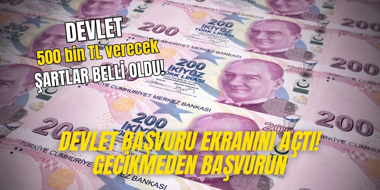 Devlet başvuru yapanlara 500 bin TL verecek! Parayı almak için sadece bu şartları karşılamanız yeterli