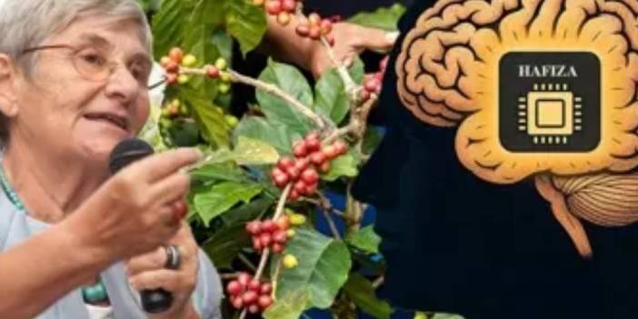 Canan Karatay'dan Zekâ Gelişimini Destekleyen Kahvaltı Tavsiyesi: "Yumurta Olmazsa Olmaz!"